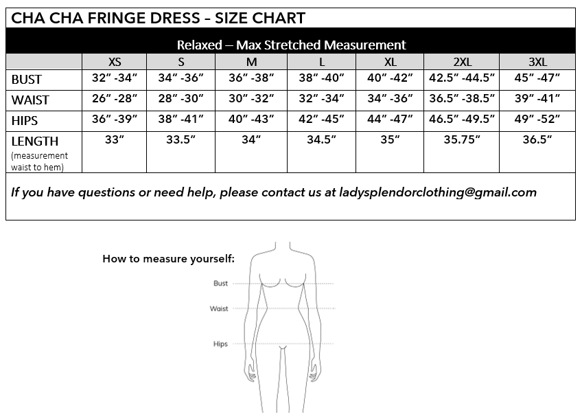 Last One Sale Cha Cha Fringe Dress in Black